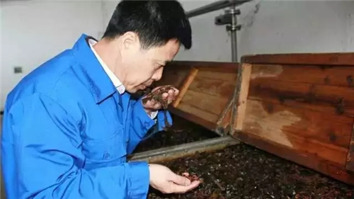 捷報(bào)頻傳 致中和攬獲多項(xiàng)大獎(jiǎng)