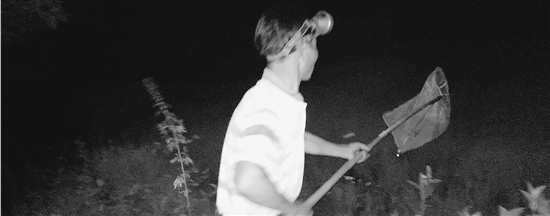 ؜u(mi)Ξx(chng)һ꾹ٍf(wn)