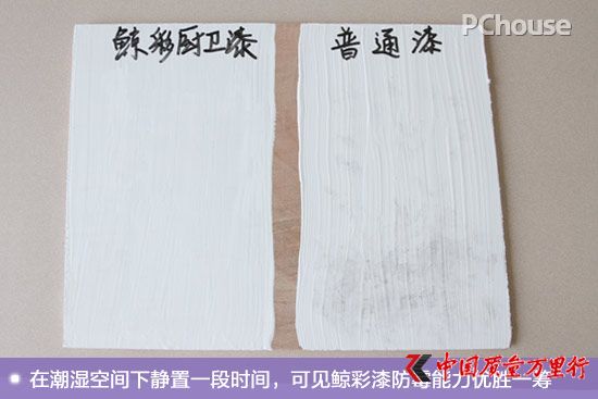 廚衛(wèi)空間的保潔衛(wèi)士 鯨彩颯緹廚衛(wèi)漆評測