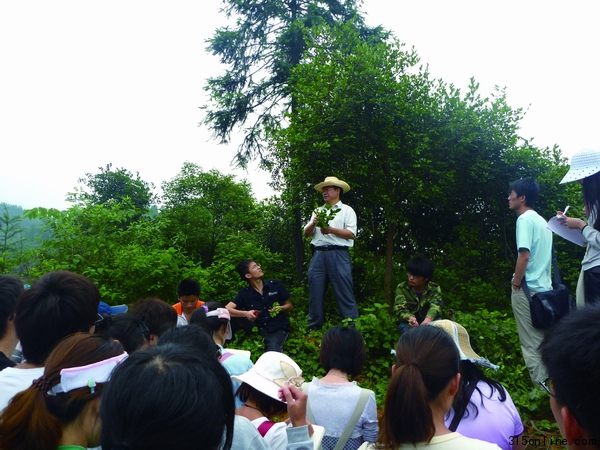 呂芳德教授在油茶林現(xiàn)場(chǎng)為學(xué)生們講解油茶載培知識(shí)