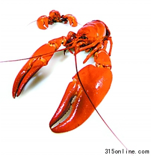 菜價(jià)米價(jià)悄然上漲