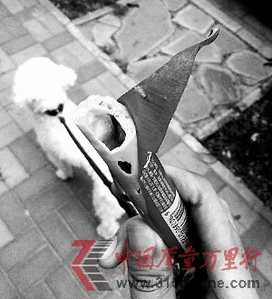 czһǿĵcw߀3С