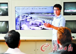 廣州地產(chǎn)商投1.2億養(yǎng)豬打造豪華豬舍全天監(jiān)控
