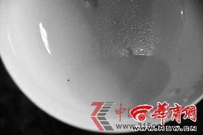 ̷ٝаl(f)F(xin)ɫw ؛TQǽǛ]Ӱ