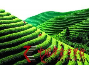 r؈44fһ W(wng)|(zh)䡰X믂ˡ