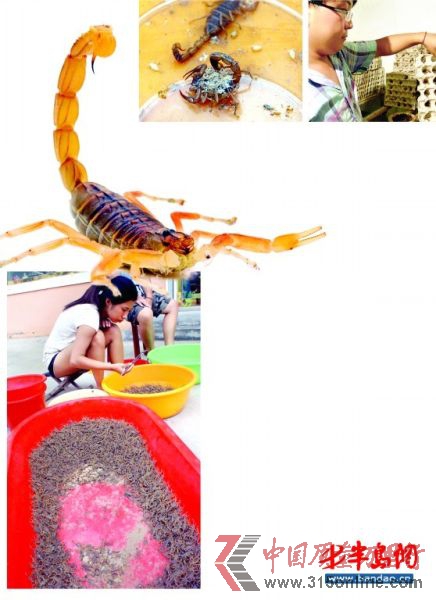 ĸЫӮa(chn)µСЫ uбPĶЫ B(yng)ֳĹˆTЫ
