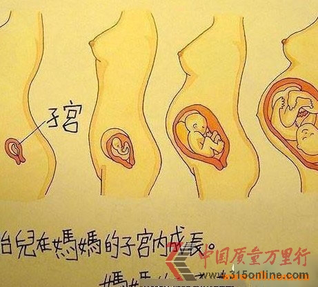 @СW(xu)꼉n(ni)ݣ