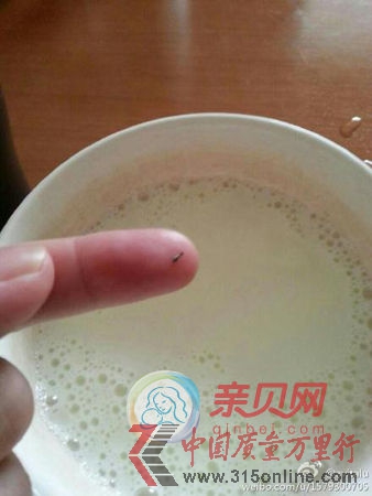 美贊臣安嬰媽媽奶粉喝出死螞蟻 回稱沒法解決(親貝網(wǎng)配圖)