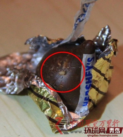 巧克力上的蟲子清晰可見 巧克力上的蟲子清晰可見