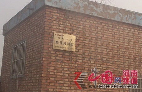 周口項(xiàng)城縣高洼肉雞養(yǎng)殖場(chǎng) 周口項(xiàng)城縣高洼肉雞養(yǎng)殖場(chǎng)