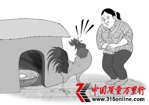 [圖說(shuō)新語(yǔ)]愚蠢的公雞
