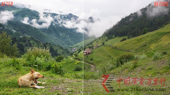 ƯƬ͏(qing)㷨܎Google+
