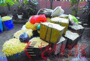 ծa(chn)ǧﶾѿ ػͯ